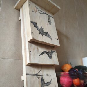 caixa niu per a rats penats abans de ser instal·lada