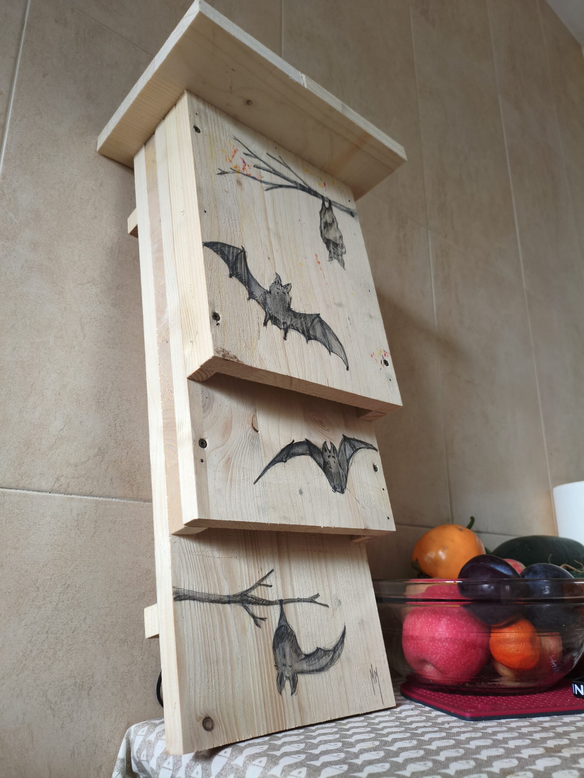 caixa niu per a rats penats abans de ser instal·lada