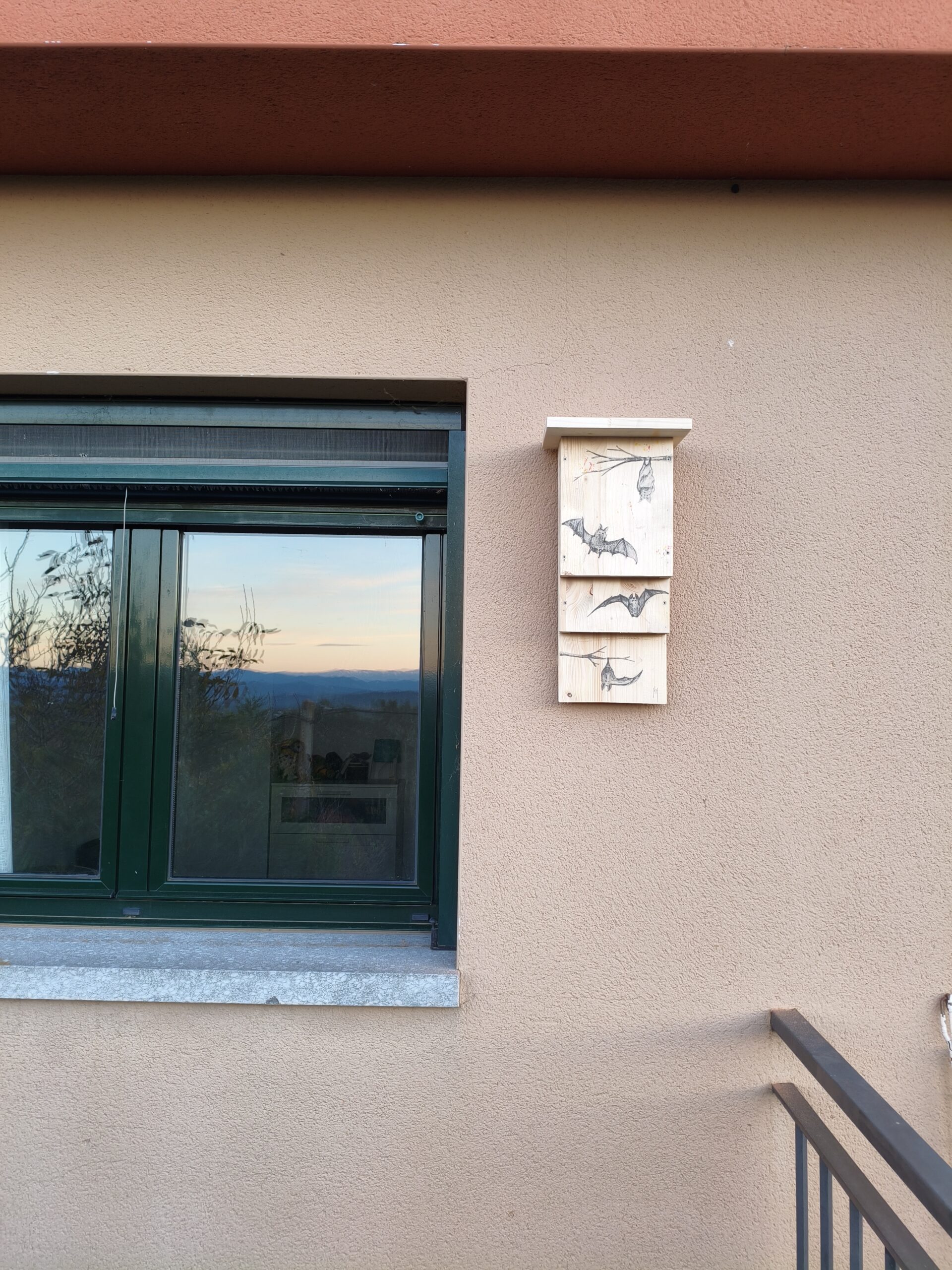 Caixa niu per a rats penats - Imatge 6