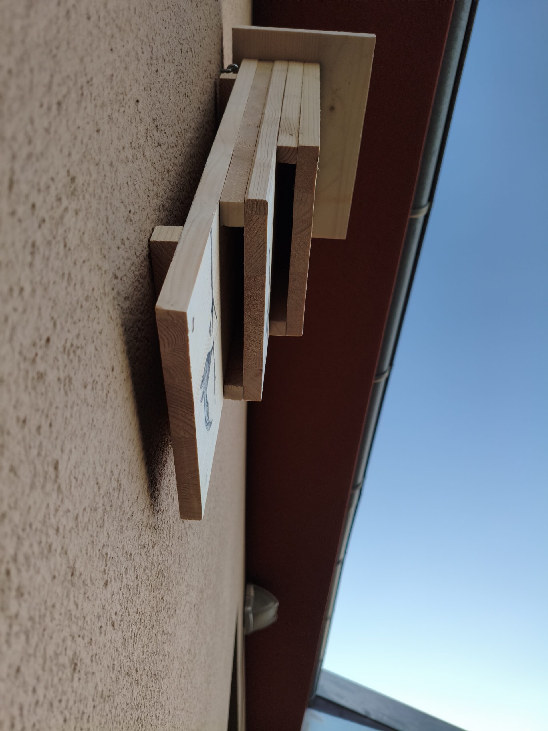 Caixa niu per a rats penats - Imatge 4