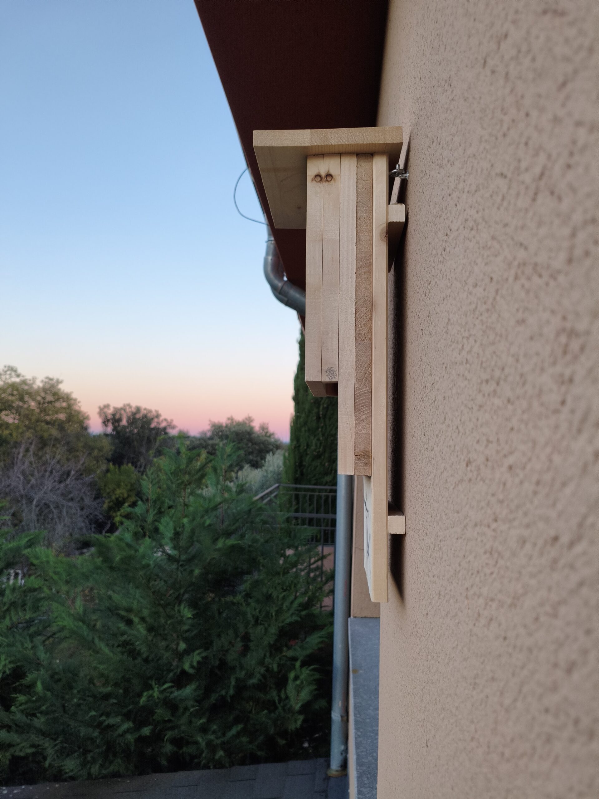 Caixa niu per a rats penats - Imatge 3